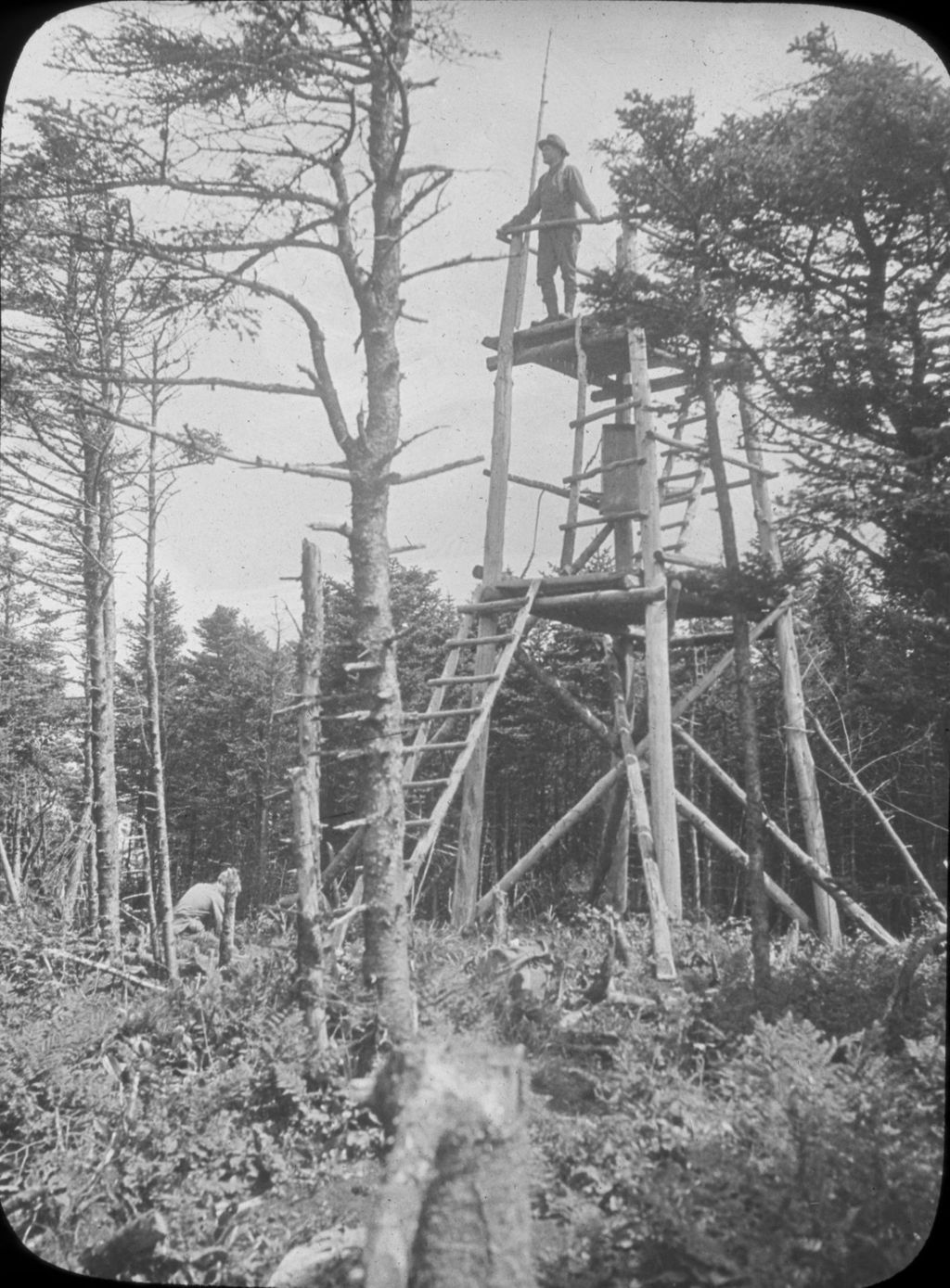 Miniature of Mr. Cooper on a Pico forestry tower