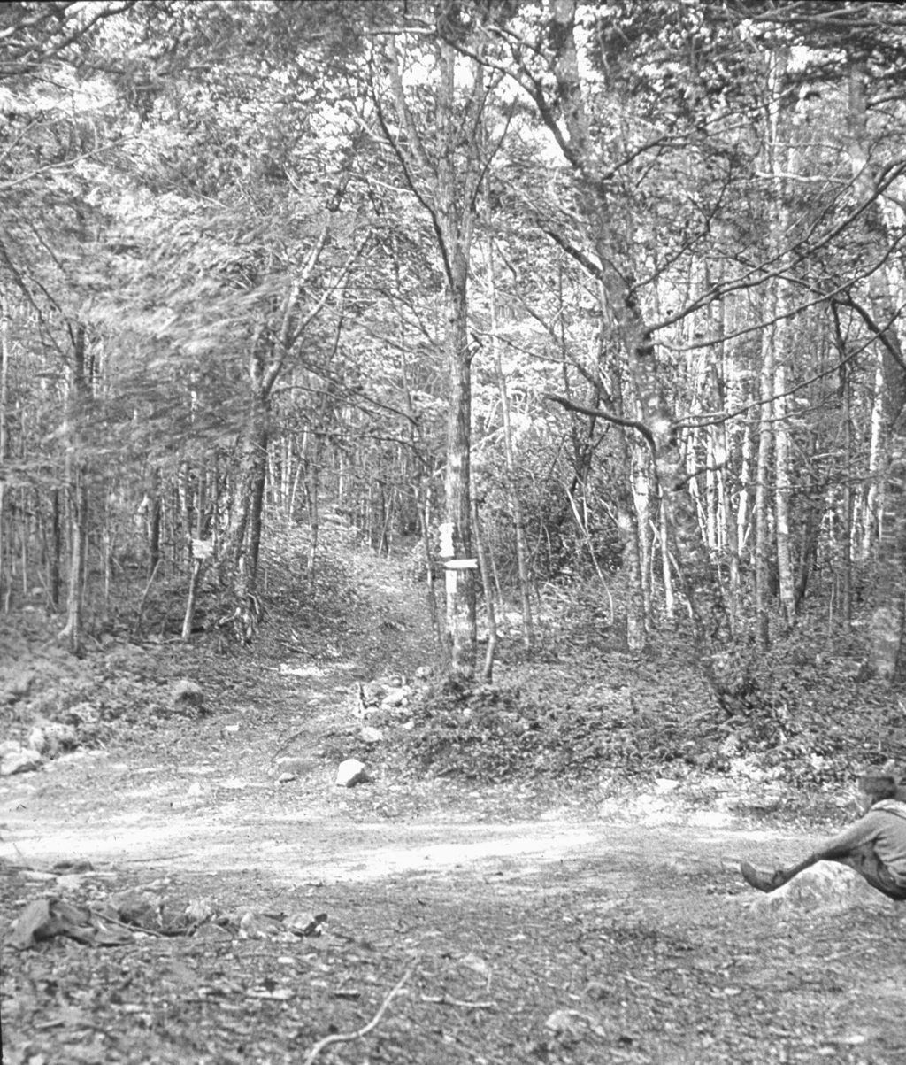 Miniature of Looking North from where the Long Trail crosses the road at Middlebury Gap