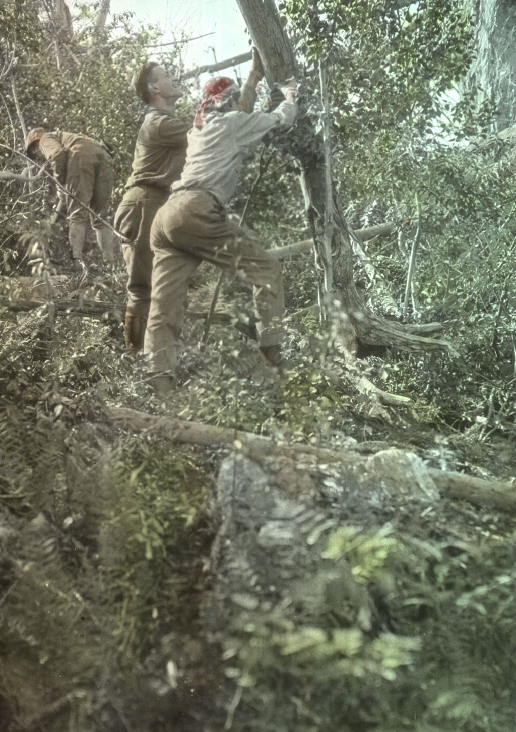 Miniature of Building a new trail on Couching Lion (Camel's Hump)