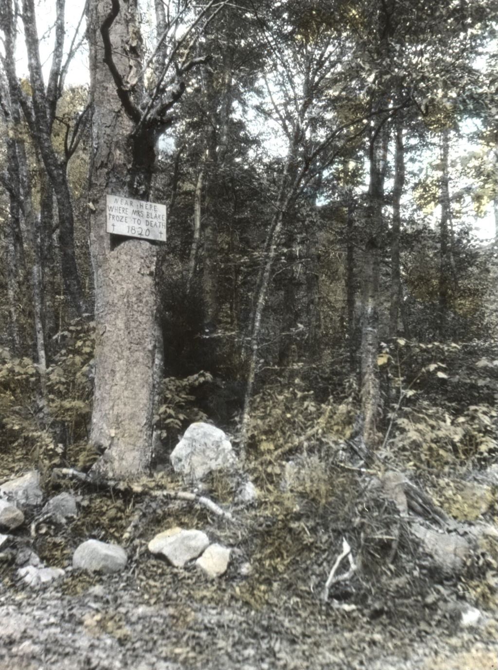 Miniature of Mrs. Blake notice board on the Arlington-Wardsboro Road