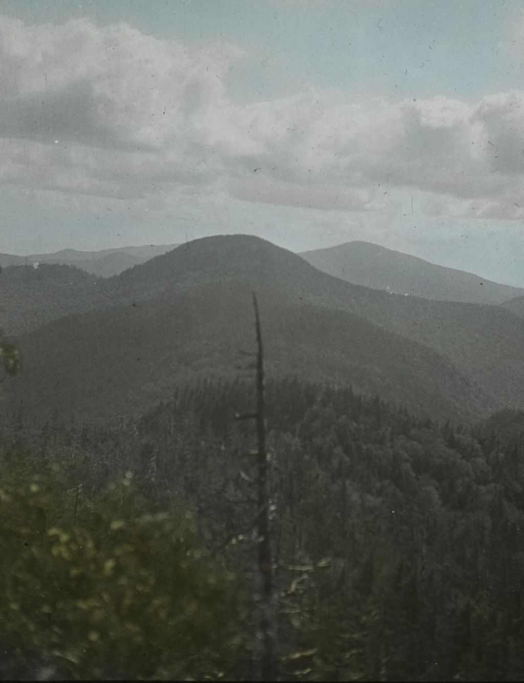 Miniature of South from cliff lookout on Mount Mansfield's Forehead Trail