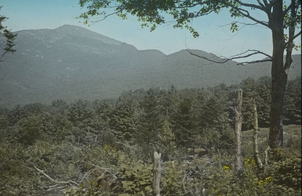 Miniature of Mount Mansfield forehead from near the start of the Nebraska Notch Trail