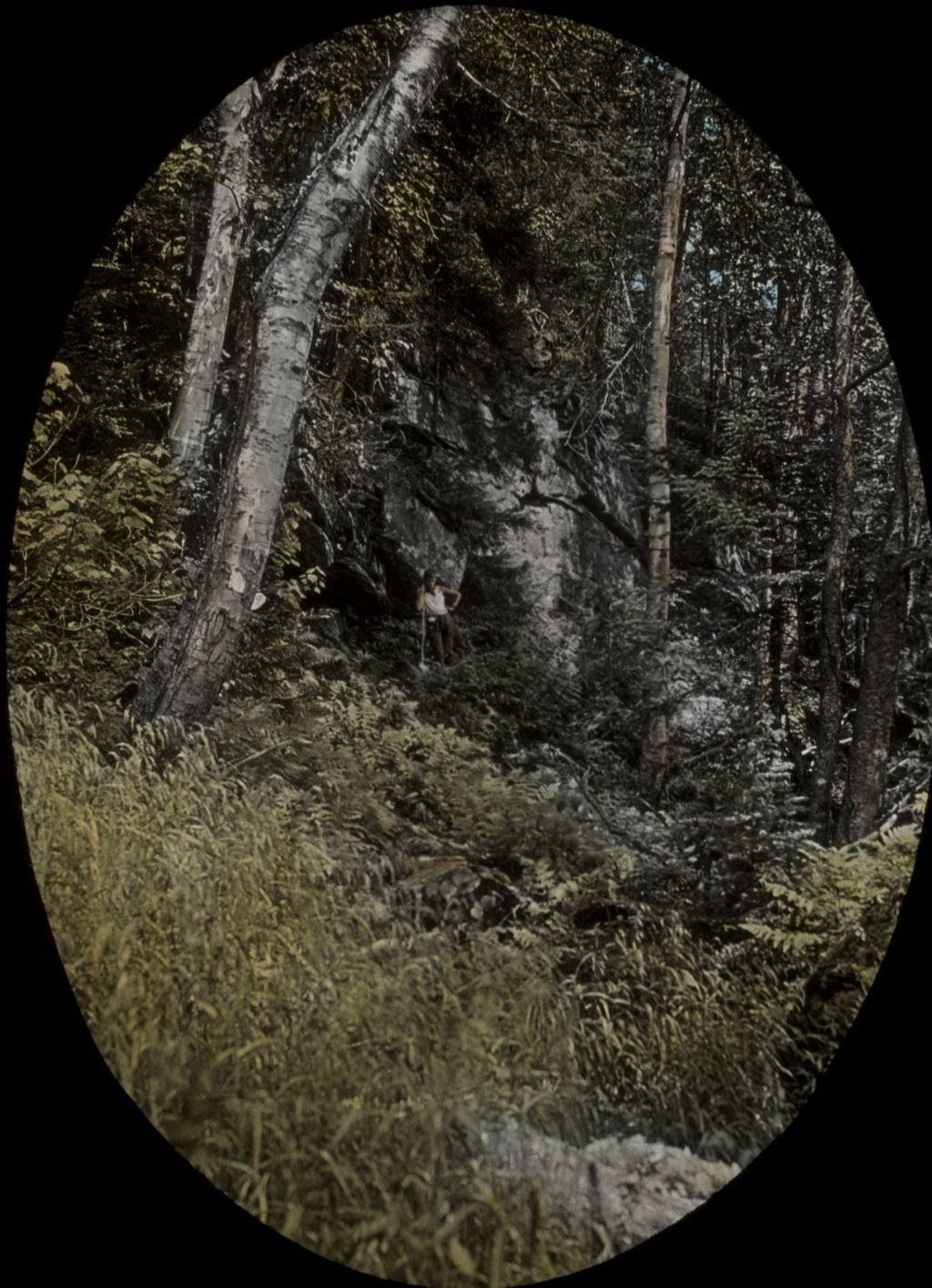 Miniature of Trail on the north slope of Bolton Mountain