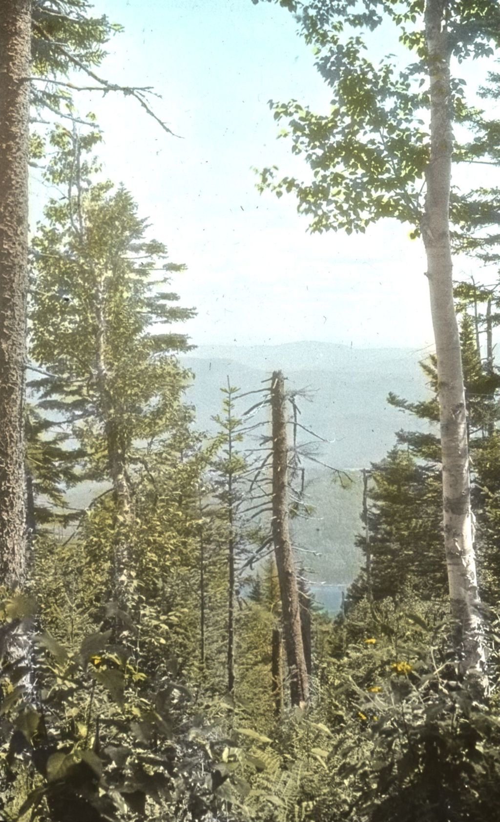 Miniature of Pico Pond from Pico Mountain