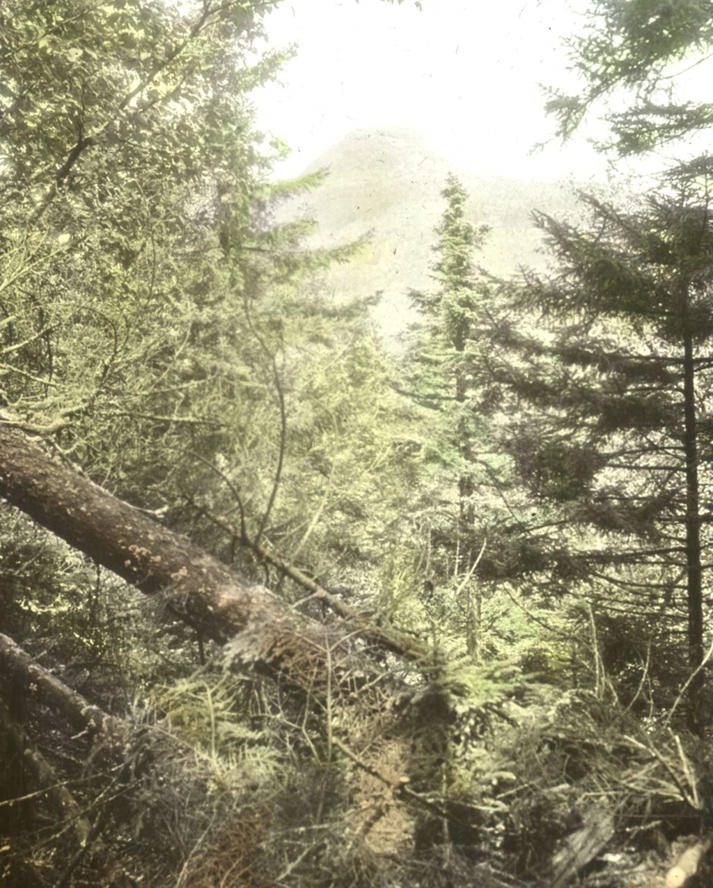 Miniature of North to Couching Lion (Camel's Hump) from the Worcester Lookout