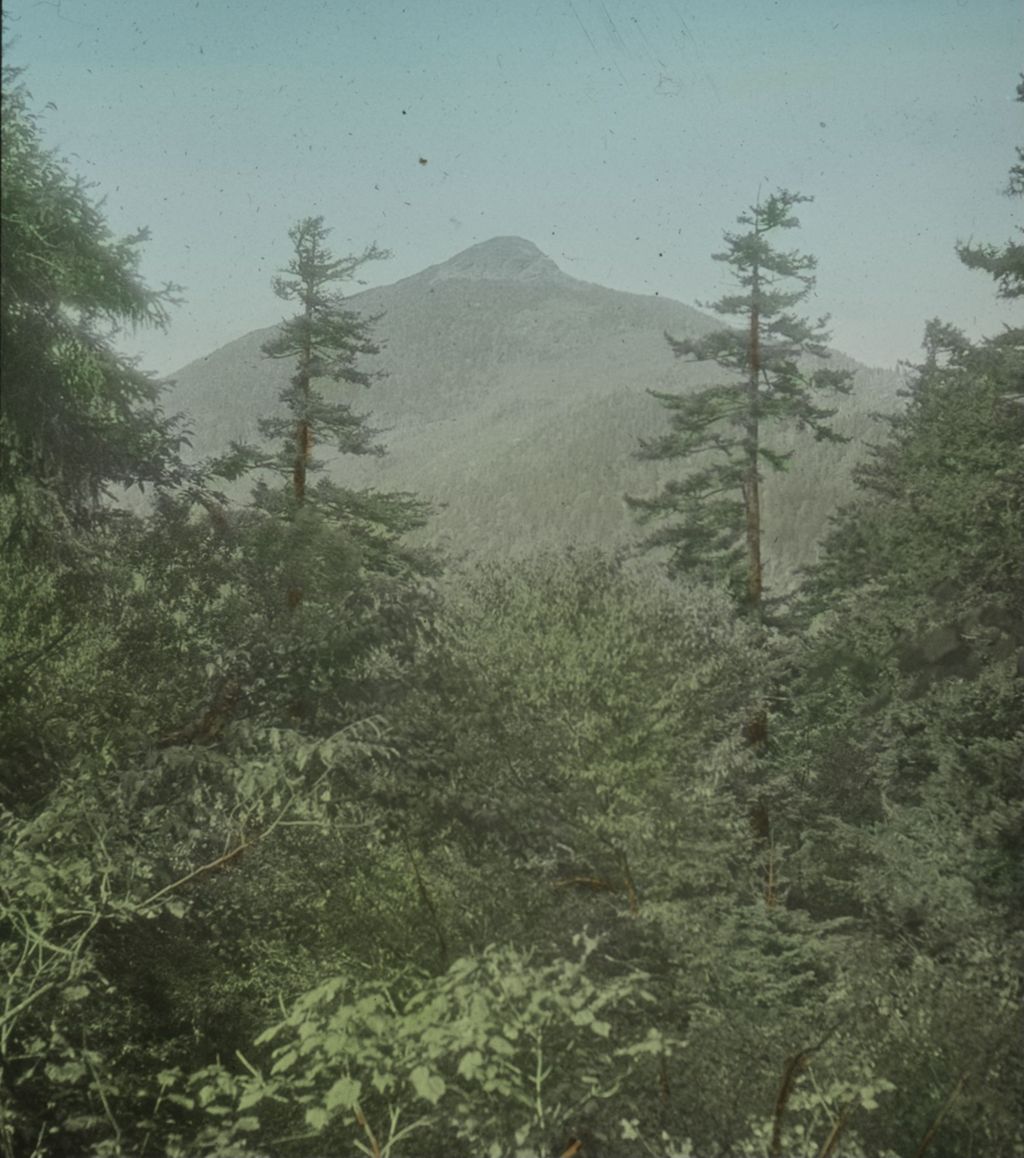 Miniature of Couching Lion (Camel's Hump) from a trail south of Montclair Glen