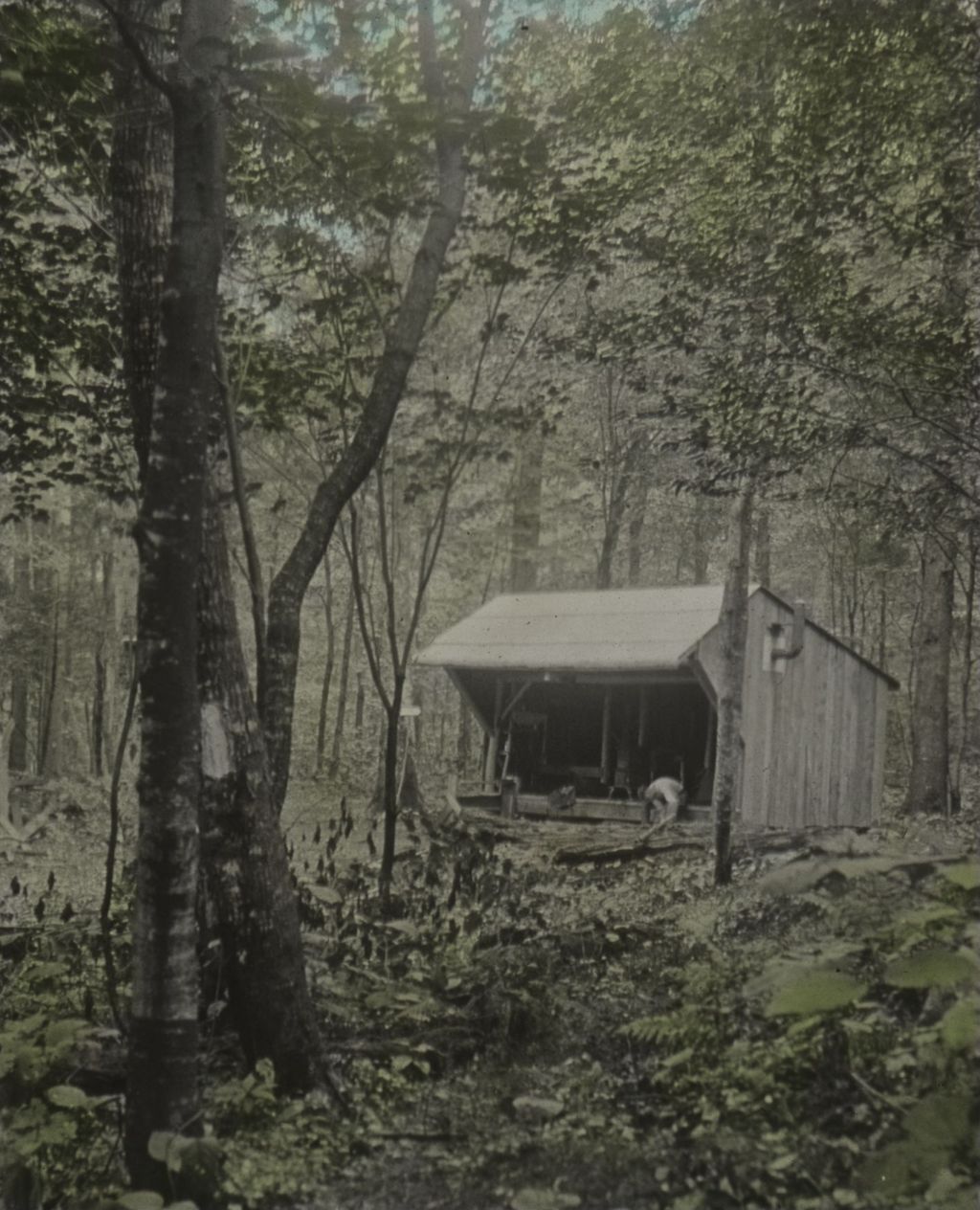 Miniature of Lake Pleiad Lodge