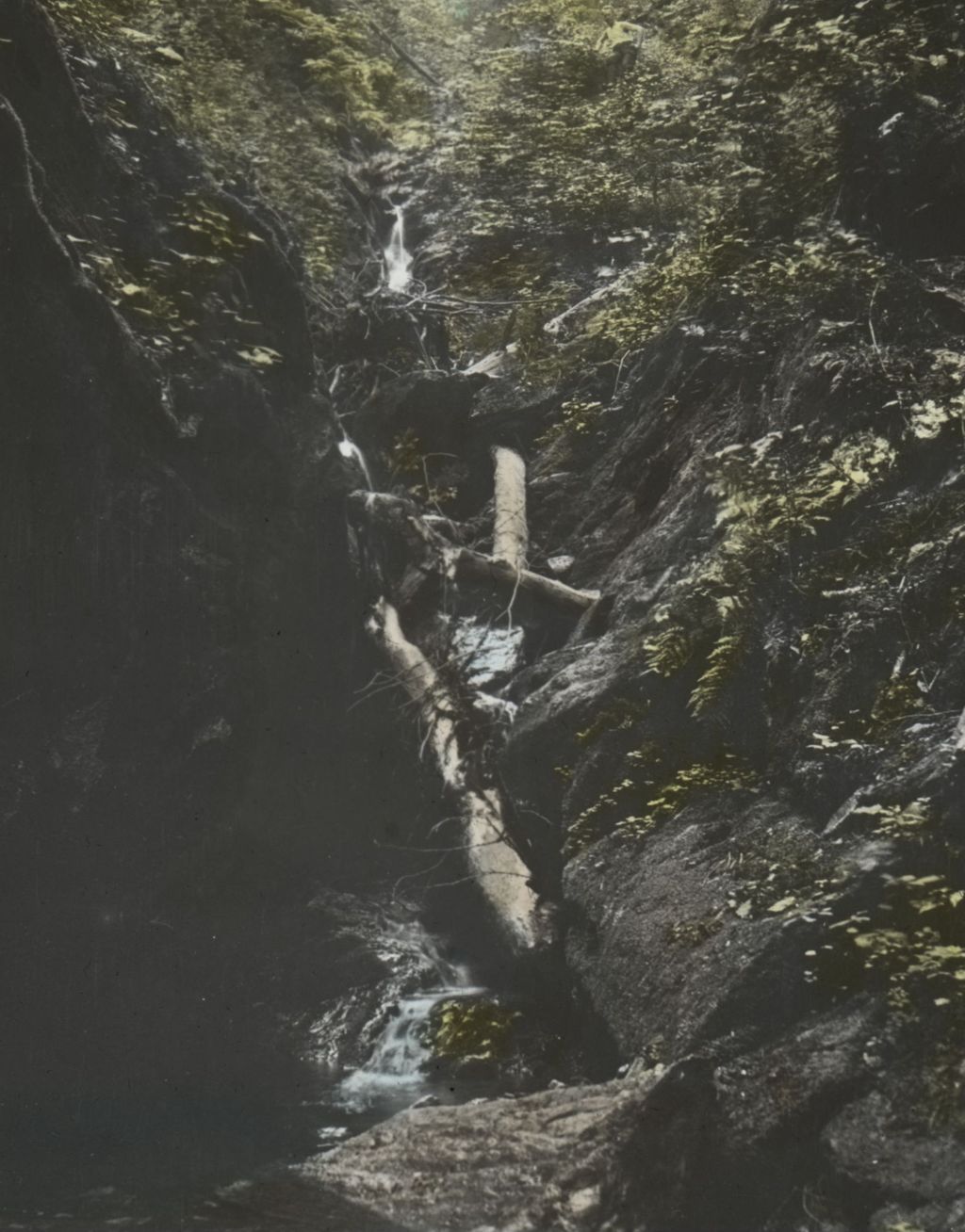 Miniature of Lower part of Hell Brook Falls