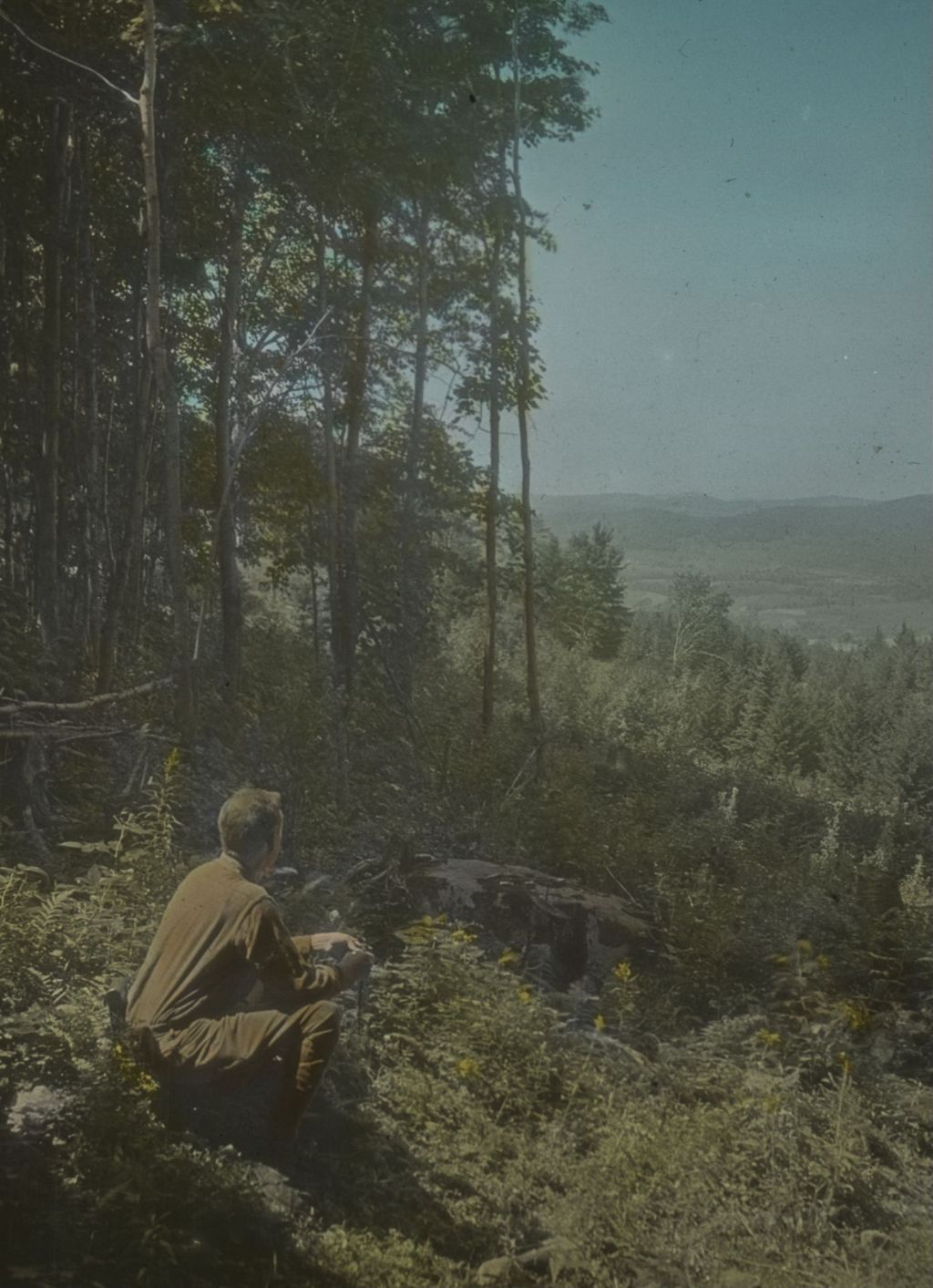 Miniature of West from the westerly end of the Nebraska Notch Trail to Mount Mansfield