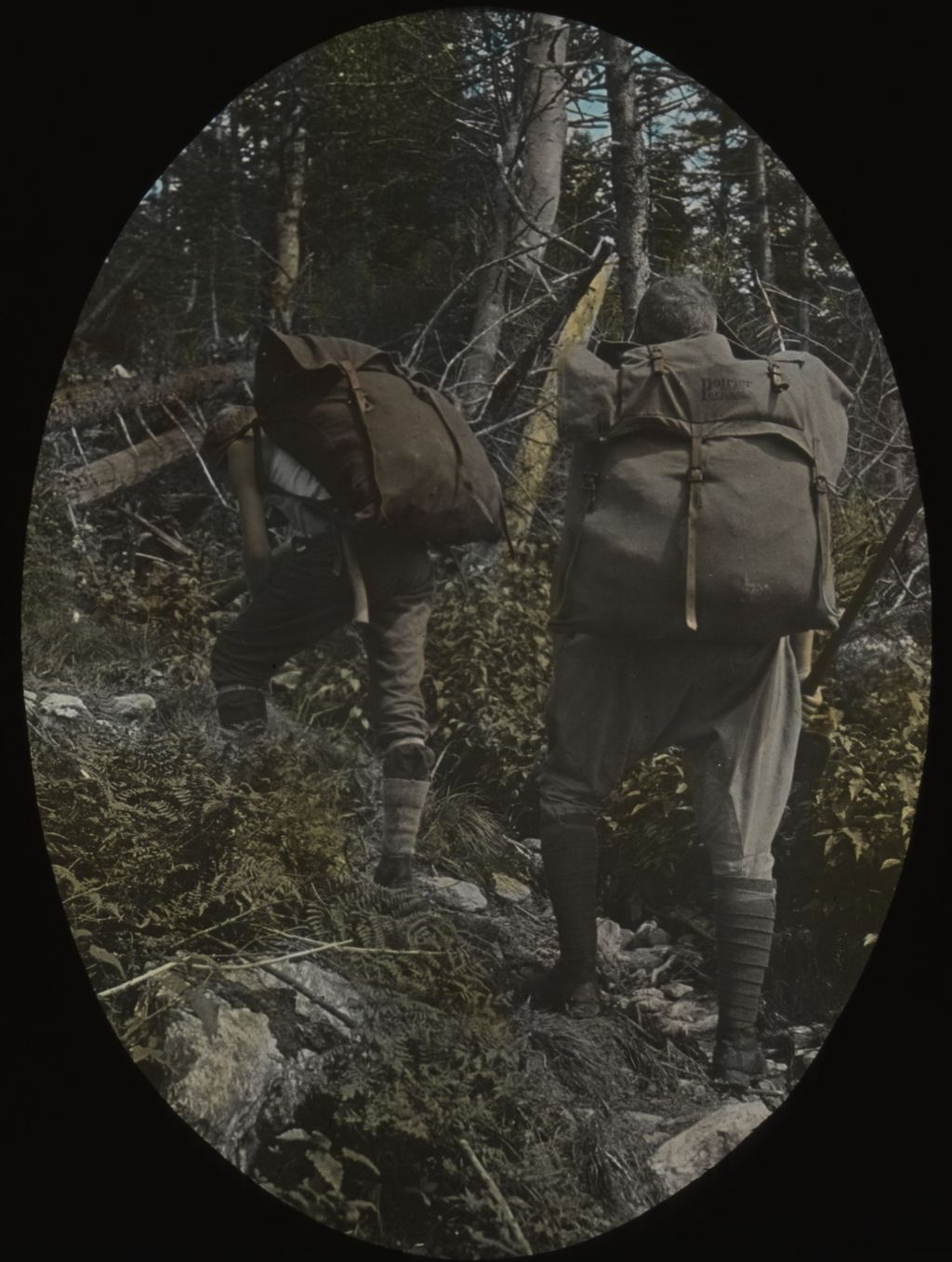 Miniature of Herbert Wheaton Congdon and Leverett T. Smith carrying Poirier packs