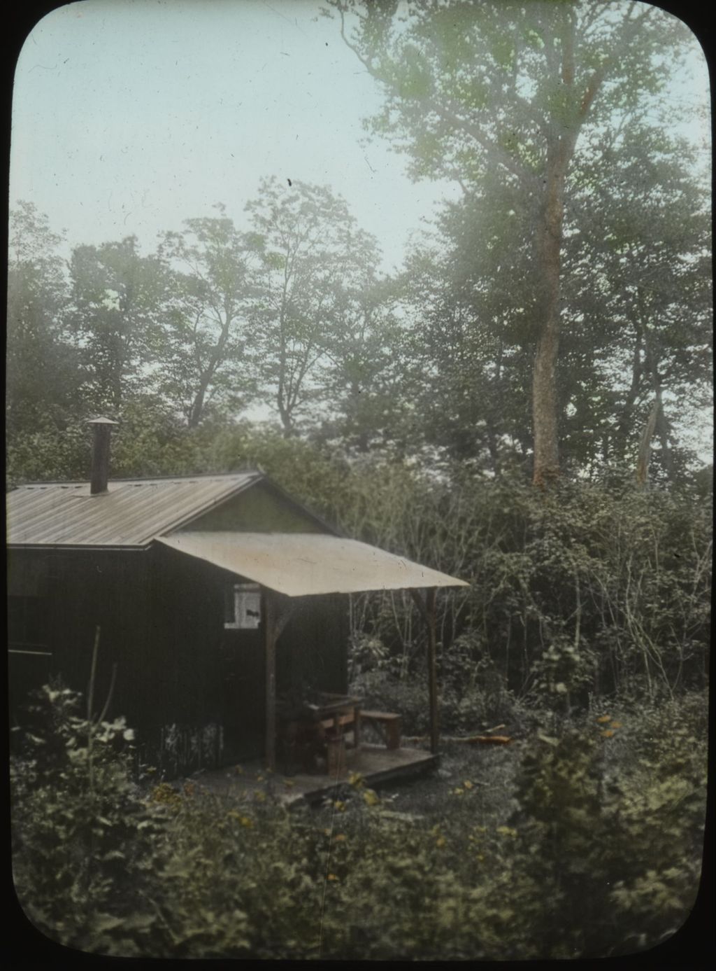 Miniature of Carmel Camp - note hedgehog chews!