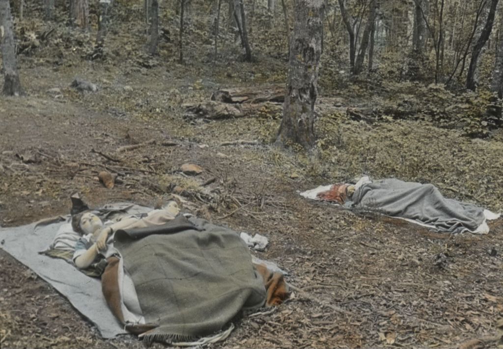 Miniature of Sleeping beauties at the Pleiad Lodge