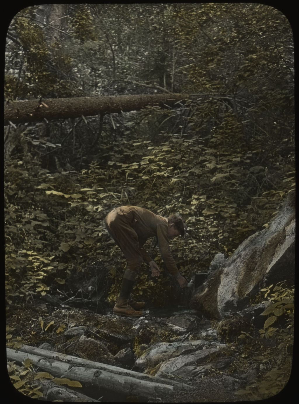 Miniature of Spring in a clearing 1 1/2 miles up Pico from Sherburne Pass