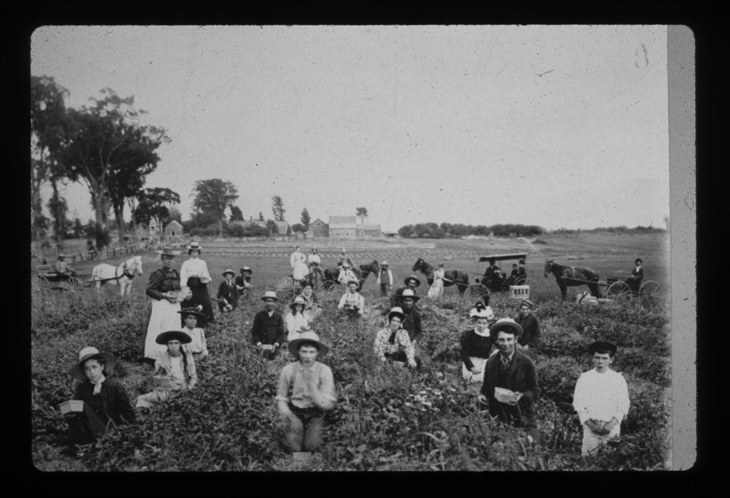 Miniature of McNeils Farm