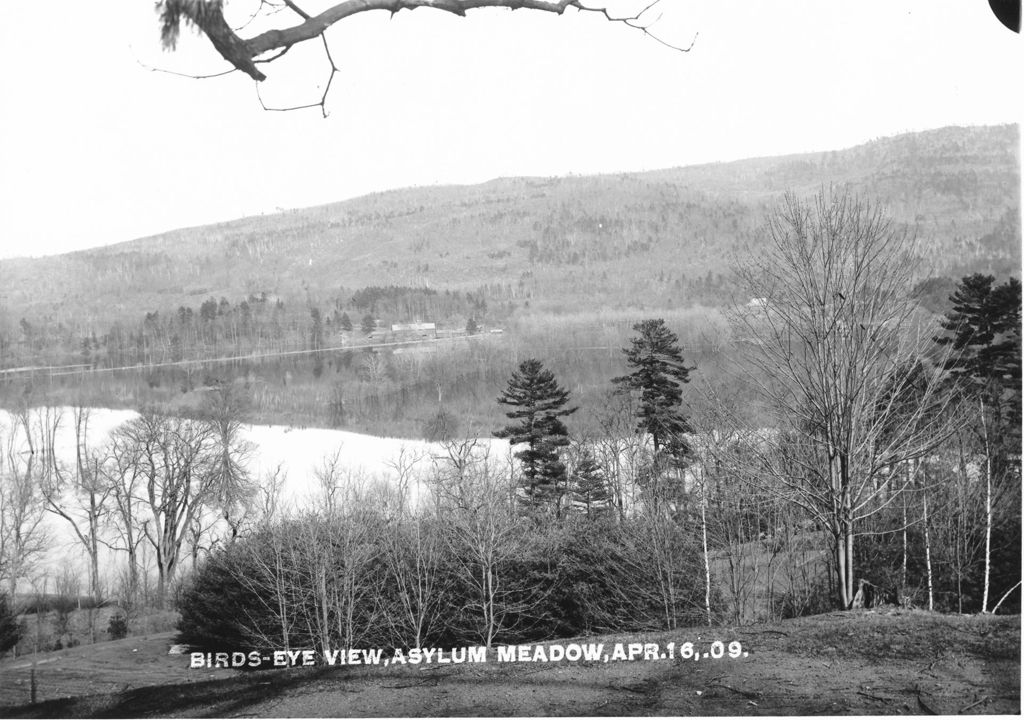 Miniature of Birds-Eye View, Asylum Meadow, Apr.16, .09.