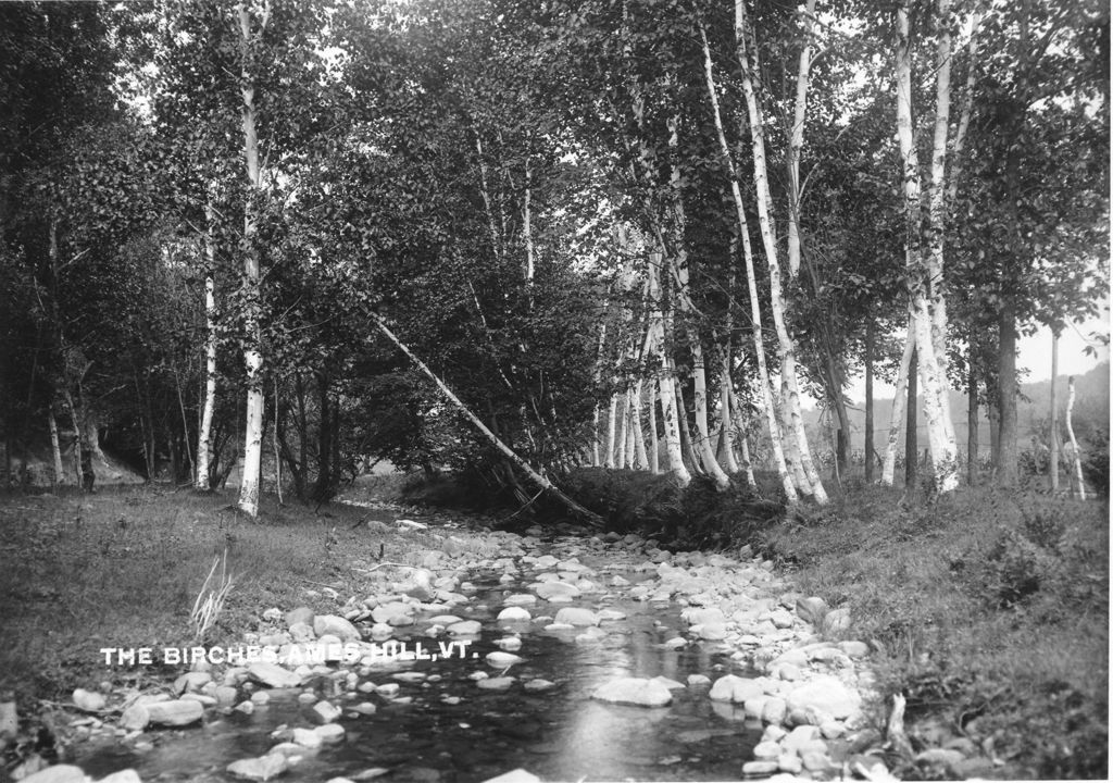 Miniature of The Birches, Ames Hill, Vt.