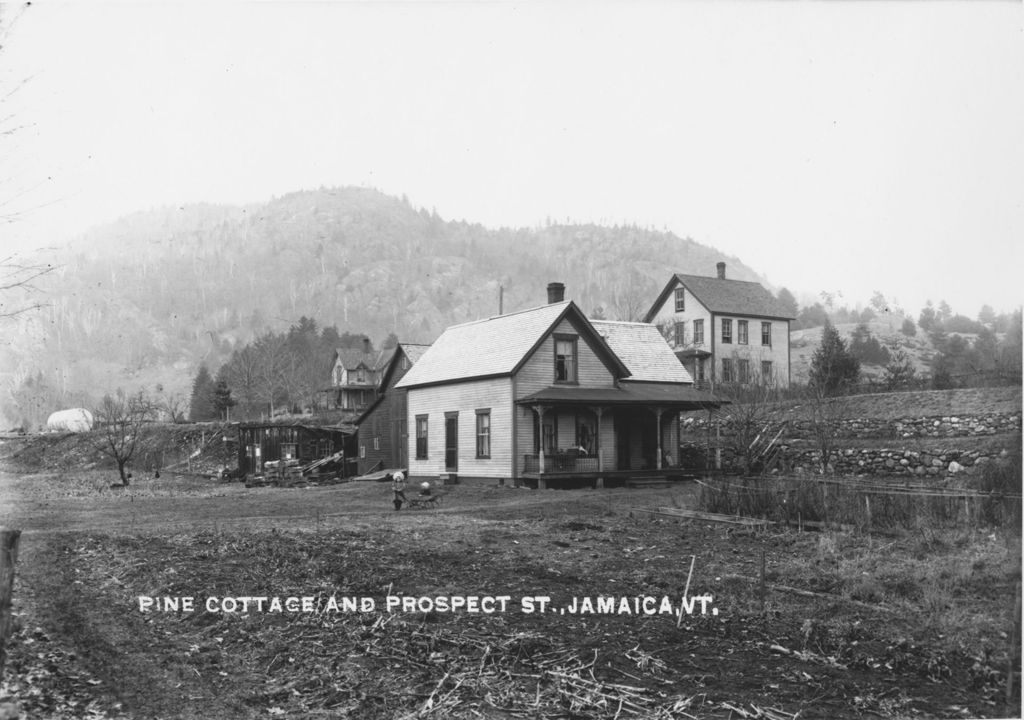 Miniature of Pine Cottage and Prospect Street, Jamaica, Vt.