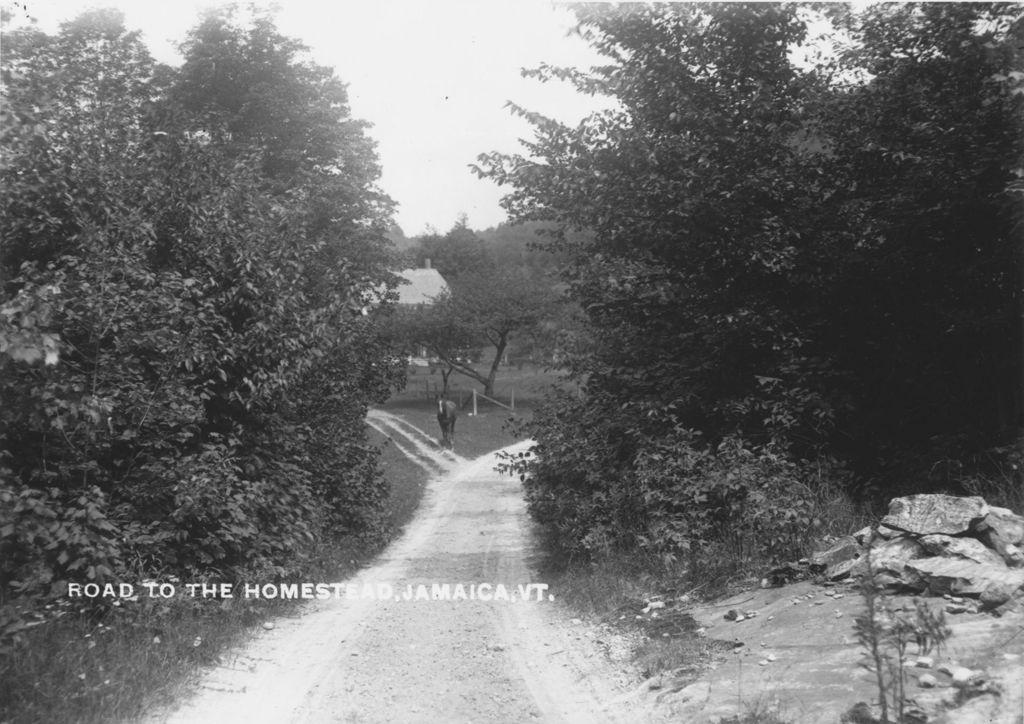 Miniature of Road to the Homestead, Jamaica, Vt.