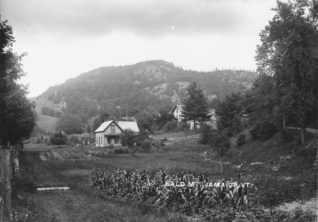 Miniature of Bald Mt., Jamaica, Vt.