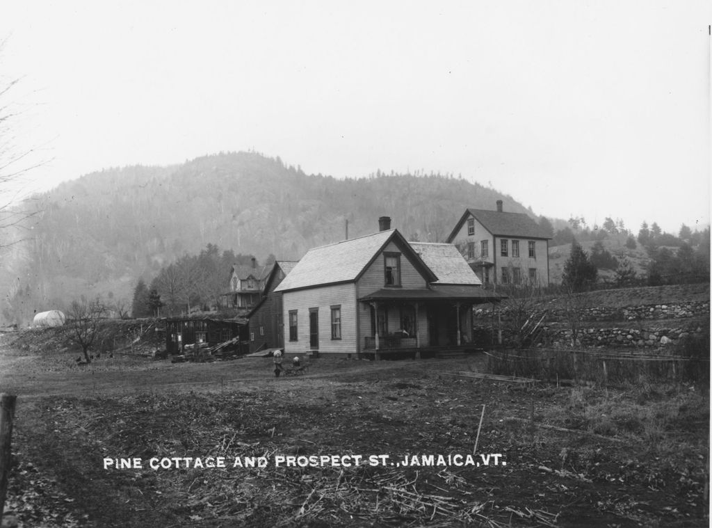 Miniature of Pine Cottage and Prospect Street, Jamaica, Vt.