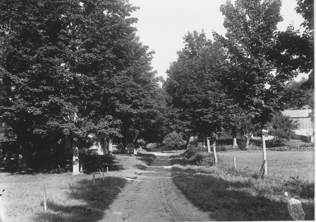 Miniature of Unidentified Tree Lined Road, Marlboro, VT