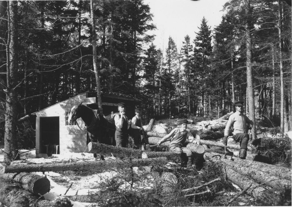 Miniature of Men logging with Horses in the Woods, Newfane, Vt.