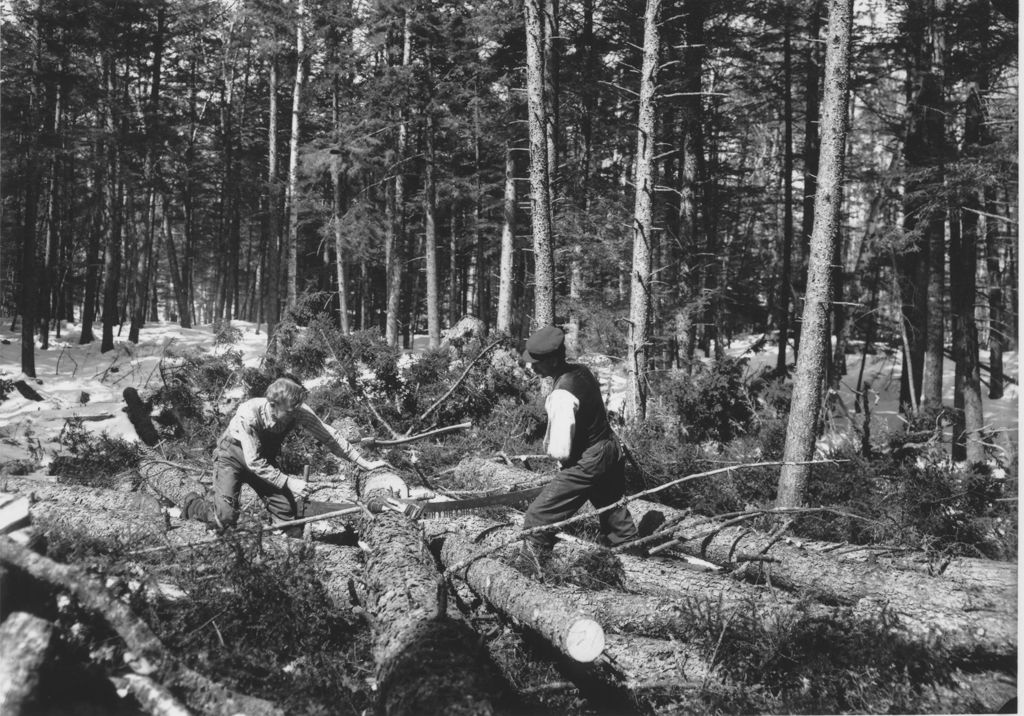 Miniature of Men logging with cross cut saw in woods, Newfane, Vt.