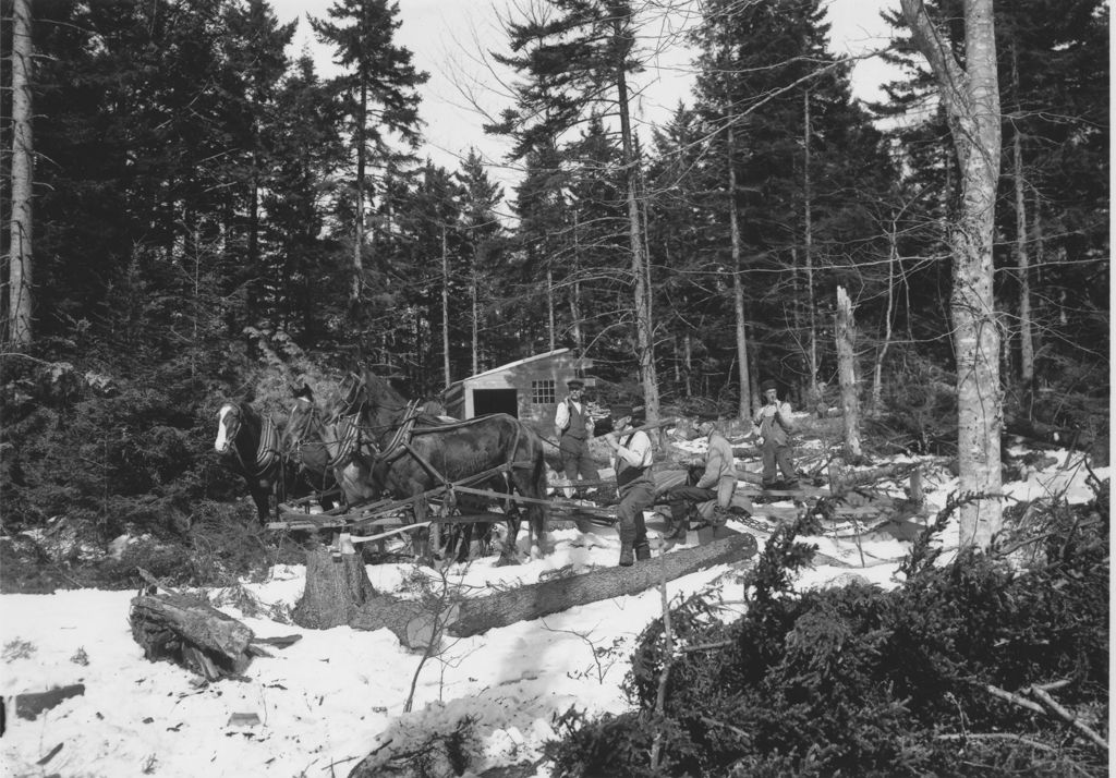Miniature of Men logging with Horse Team in the Woods, Newfane, Vt.