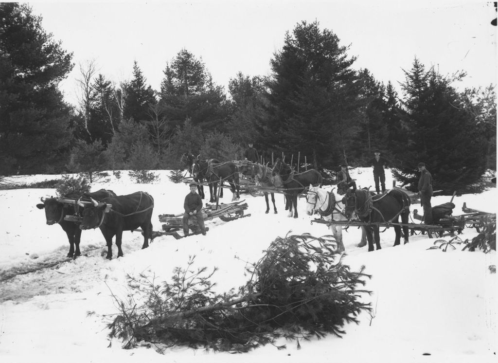 Miniature of Men logging with Oxen and Horse Teams, Newfane, Vt.