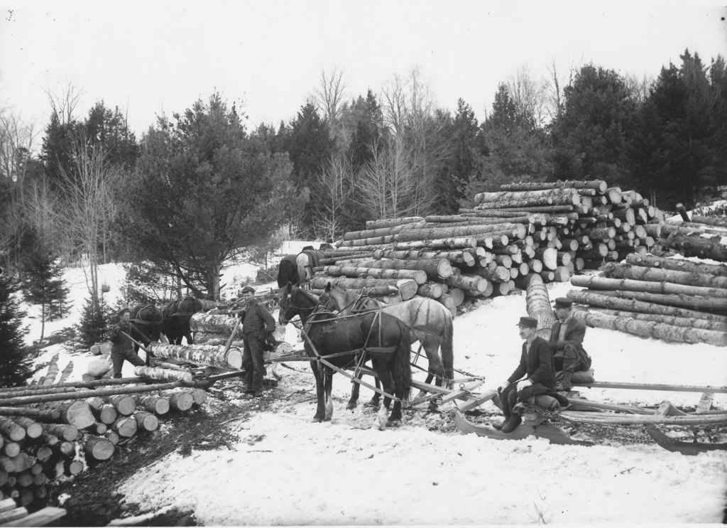 Miniature of Men logging with Horse Team, Newfane, Vt.