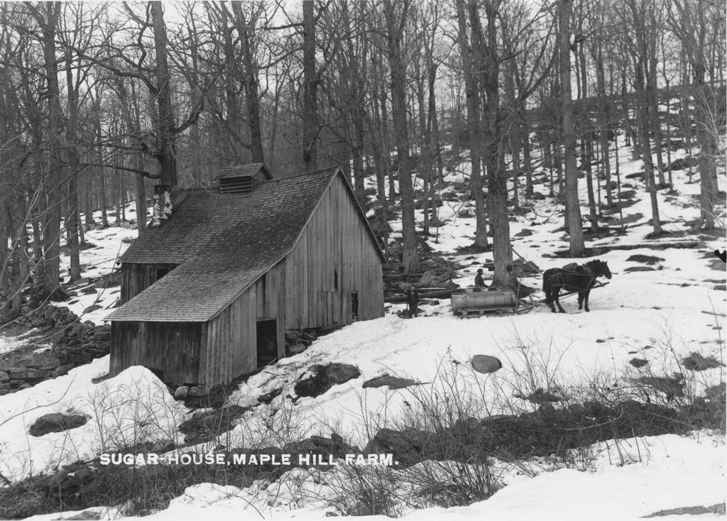 Miniature of Sugar House, Maple Hill Farm