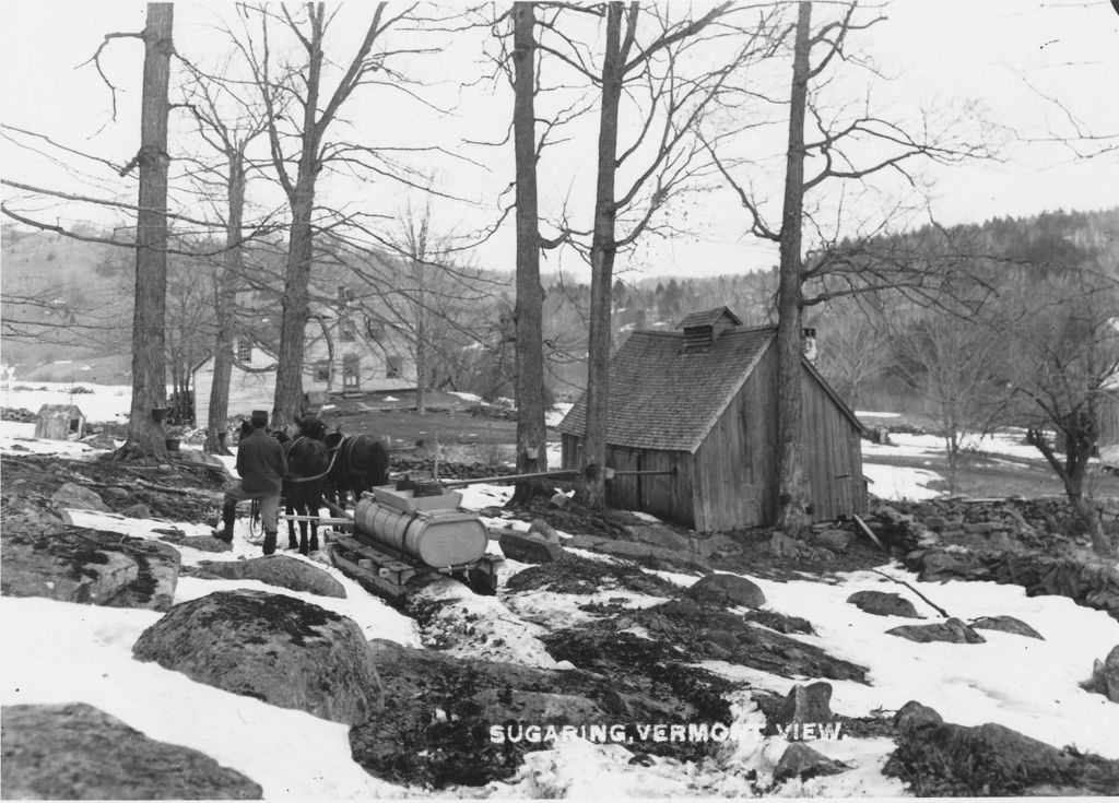 Miniature of Sugaring, Vermont View