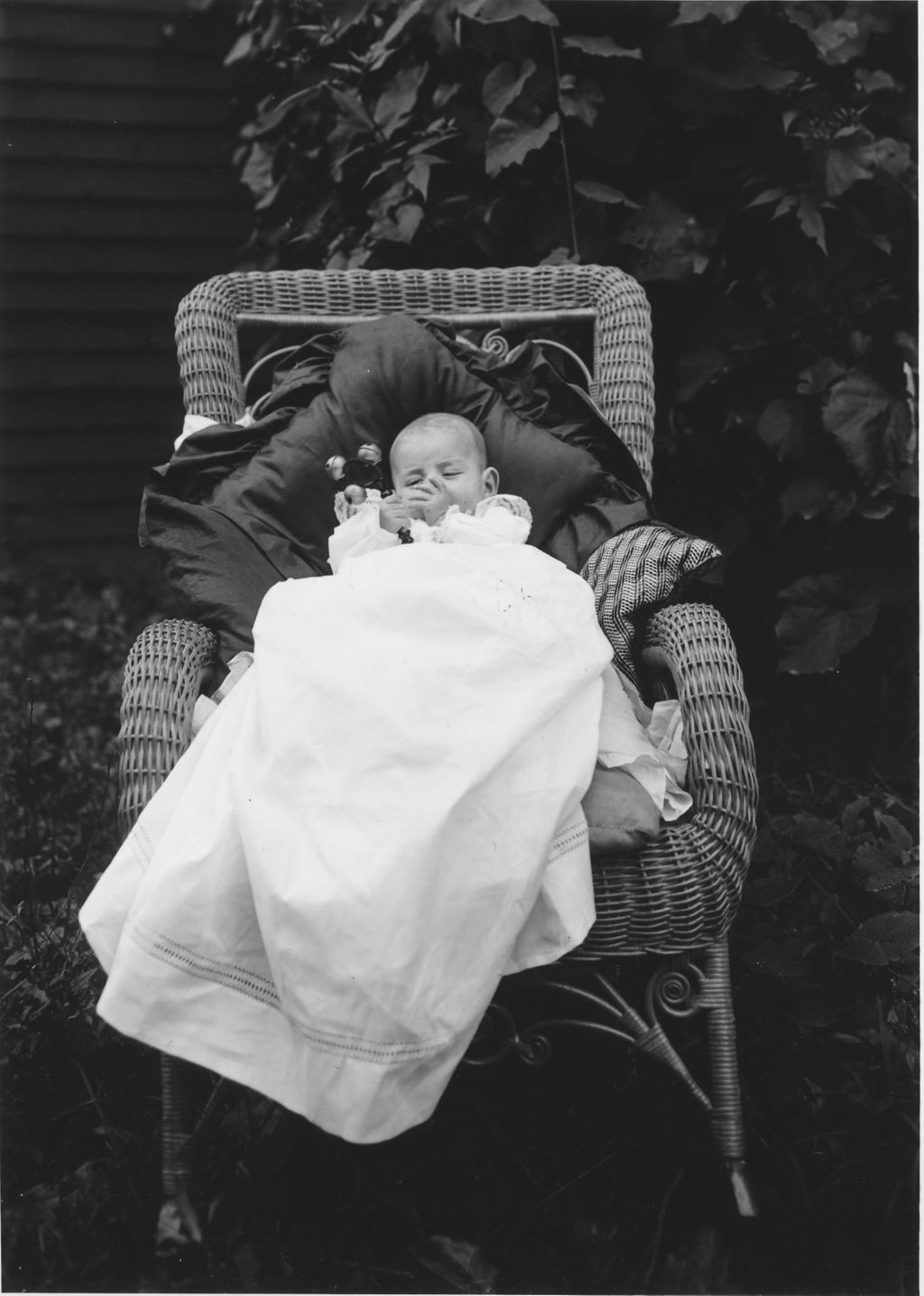 Miniature of Fourteen week old Webster Thayer in a chair outside