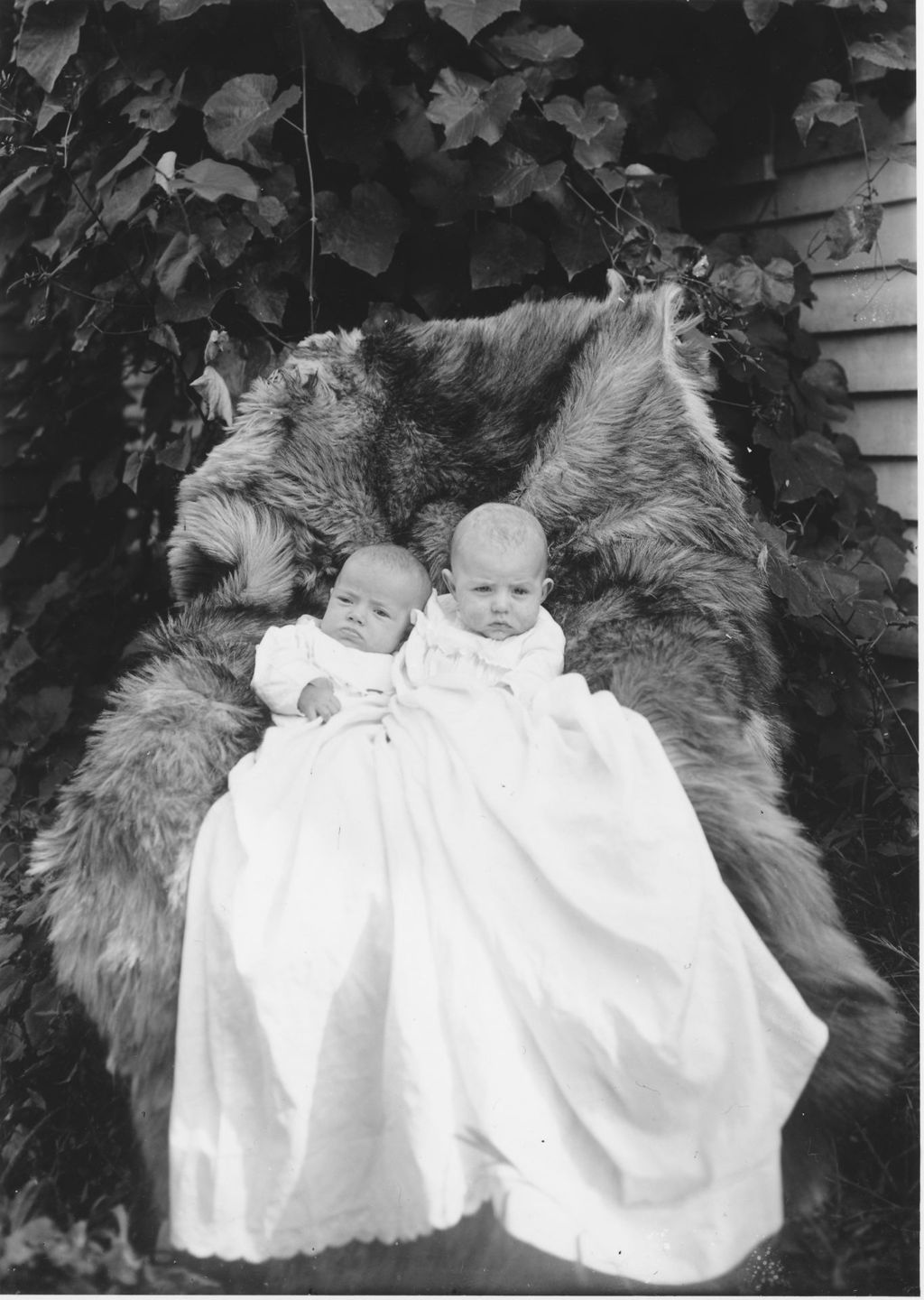 Miniature of Two babies outside on a fur