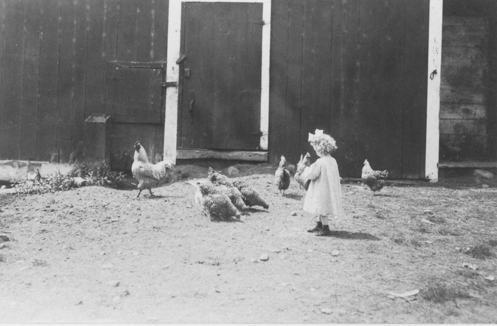 Miniature of Marion Fairbanks feeding chickens at the C.K. Steadman place, Williamsville, Vt.