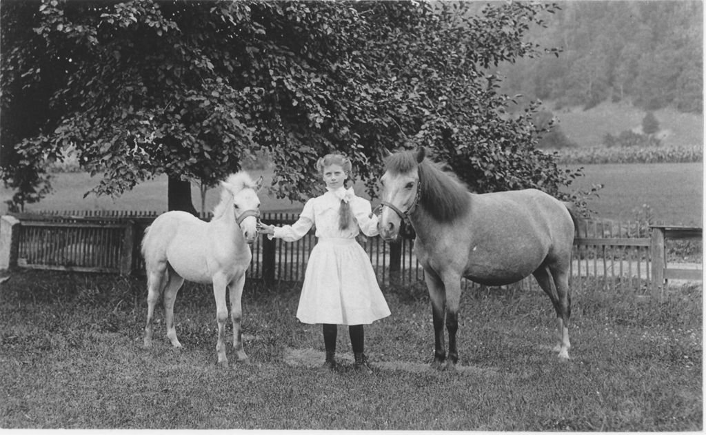 Miniature of A girl with two ponies at Dr. Nasher's in Townshend, Vt.