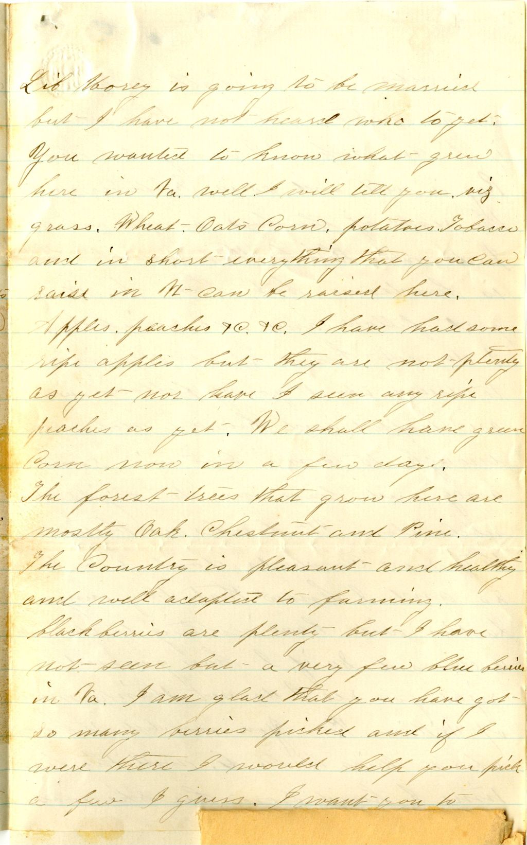 Miniature of Lyman S. Williams to Lois L. Williams